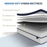 Avenco King Mattress, 14 Inch King Mattresses in a Box, Hybrid King Size Mattresses with Comfort Foam and Pocket Coils for Pressure Relief & Motion Isolation Avenco