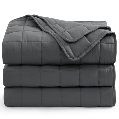 Casa Platino Twin Duvet Insert - Soft Blankets Lightweight Twin Size Bedding, Cooling Pre-Washed - Down Alternative Blanket - Charcoal Casa Platino