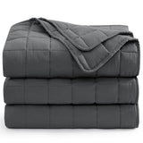 Casa Platino Twin Duvet Insert - Soft Blankets Lightweight Twin Size Bedding, Cooling Pre-Washed - Down Alternative Blanket - Charcoal Casa Platino