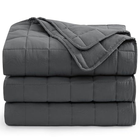 Casa Platino Twin Duvet Insert - Soft Blankets Lightweight Twin Size Bedding, Cooling Pre-Washed - Down Alternative Blanket - Charcoal Casa Platino