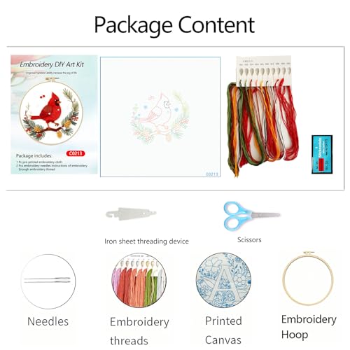 Zhenqing Red Bird in Winter Embroidery Kit for Beginners, Pre-Printed 29x29cm Cotton Fabric with 20cm Hoop, Featuring Pine Cones, Berries and Snow Design (C0213)