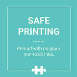 Galison Michael Storrings A Day at The Bookstore 1000 Piece Puzzle from Galison - Beautifully Illustrated Jigsaw Puzzle of a Local Bookstore, 27" x 20" Fun & Challenging, Unique Gift Idea Galison