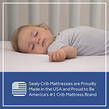 Sealy Baby Flex Cool Breathable 2 Stage Waterproof Crib Mattress plus Toddler Bed Fit, Airy Cotton Cover, 204 Premium Coils, GREENGUARD Gold Certified, Safety & Quality Tested, Made in USA, 52'X28' SEALY BABY