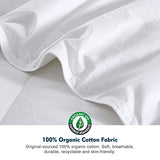 Oaken-Cat Feathers Down Comforter Twin - 100% Organic Cotton Quilted Medium Warm All Seasons Duvet Insert or Stand-Alone Comforter (68x90, Ivory White) Oaken-Cat