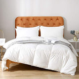 Oaken-Cat Feathers Down Comforter Twin - 100% Organic Cotton Quilted Medium Warm All Seasons Duvet Insert or Stand-Alone Comforter (68x90, Ivory White) Oaken-Cat