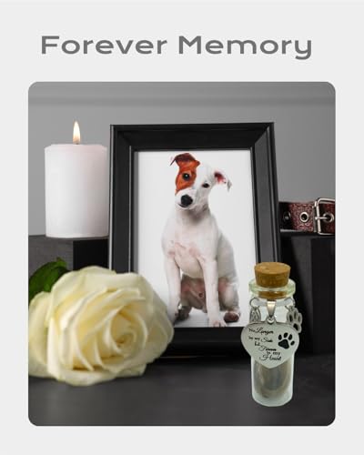 Joybloks Pet Memorial Hair Keepsake Sympathy Gift for Loss of Dog or Cat, Pet Passing Away Funerary & Bereavement Remembrance Fur Glass Bottle with Heart Shape Ornaments Joybloks