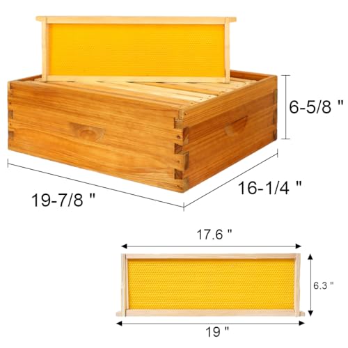 POLLIBEE 10 Frame Bee Hive, Beeswax Coated Beehive Include 2 Deep Bee Boxes and 1 Medium Bee Box with Beehive Frames and Foundation. - WoodArtSupply