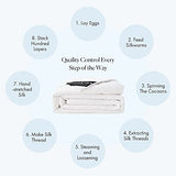 Mommesilk Silk Comforter Full Summer Lightweight Pure Natural Silk Duvet Insert Cotton Cover Quilt White 76"x87", Net Net Filling Weight 0.5kg Mommesilk