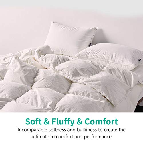 APSMILE Oversized King Luxury Organic Cotton All Season Down Feather Fibers Comforter, High Fill-Power Medium Warmth Duvet Insert (120x98, Ivory White) APSMILE