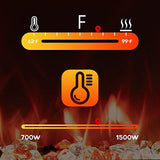 30" Electric Fireplaces Inserts, Recessed & Wall-Mounted Fireplace Heater with Thermostat, Multicolor Flames,Timer, Log & Crystal, 750/1500W VINEMOUNT