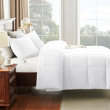 CozyLux Queen Size Comforter Sets White - 3 Pieces Box Stitched Queen Bed Set for All Seasons, Soft Lightweight Bedding Sets with 1 Down Alternative Comforter and 2 Pillow Shams CozyLux