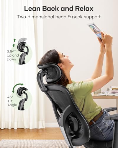 Marsail Ergonomic Mesh Office Chair: Mesh Desk Chair with Adjustable Lumbar Support, 2D Headrest & Up and Down Armrest, Ergonomic Gaming Chair for Home Office, Black Marsail