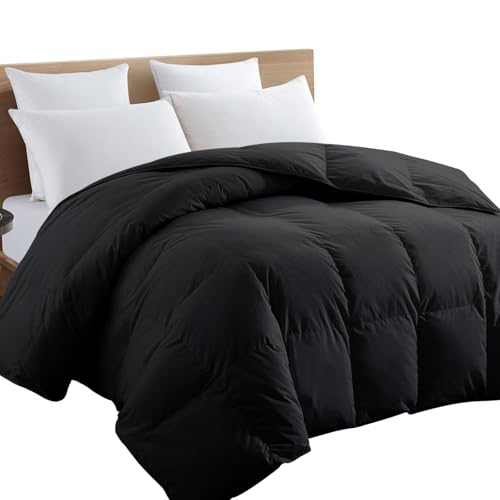 TEXARTIST Premium 2100 Series Queen Comforter All Season Breathable Black Comforter Soft 4D Spiral Fiber Quilted Down Alternative Duvet Insert with Corner Tabs Luxury Hotel Style (88"x88") TEXARTIST