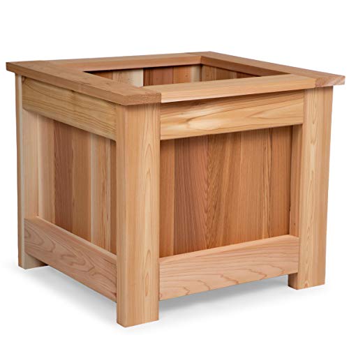 All Things Cedar BP24 Cedar Box Planter (2x2 ft) | Western Red Cedar Wood Planter Boxes | Rot Resistant Outdoor Garden Box | Handcrafted Flower Pot for Patio, Deck & Porch | 23.5x21.75x20 All Things Cedar
