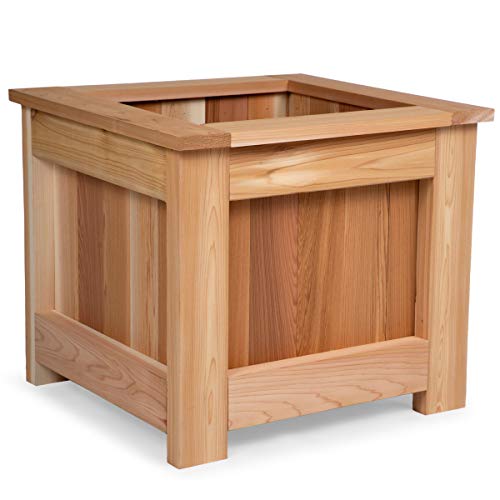 All Things Cedar BP24 Cedar Box Planter (2x2 ft) | Western Red Cedar Wood Planter Boxes | Rot Resistant Outdoor Garden Box | Handcrafted Flower Pot for Patio, Deck & Porch | 23.5x21.75x20