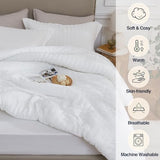 Quataly White Queen Comforter Set - 3 Pieces Seersucker Lightweight Bedding Comforter Sets (1 Soft Fluffy Comforter & 2 Pillowcases) - All Seasons Cozy Modern Bed Sets Quataly