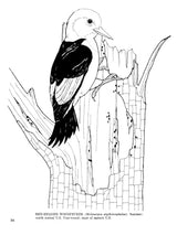 Fifty Favorite Birds Coloring Book (Dover Animal Coloring Books) Dover Publications