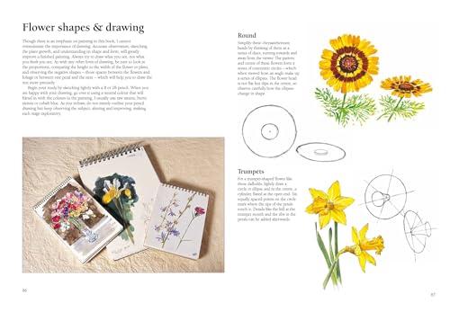 Acrylic Painting Step-by-Step (Step-by-Step Leisure Arts) Search Press