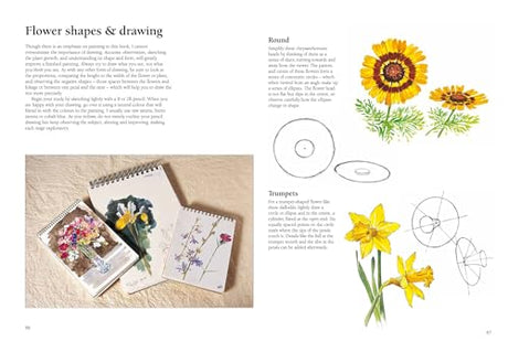 Acrylic Painting Step-by-Step (Step-by-Step Leisure Arts) Search Press