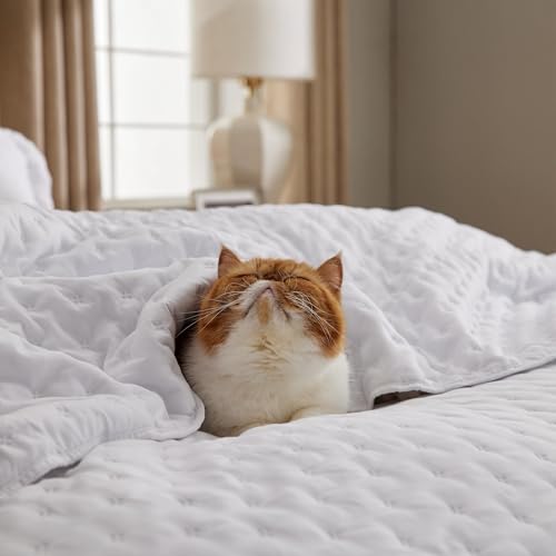 Bedsure Twin Quilt - Ultra Soft Twin XL Quilt Bedding for Dorm Decor, Lightweight All-Season Comforter, Bright White Bedspread Coverlet with Clover Pattern, 68 x 86 Inches Bedsure