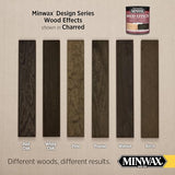 Minwax 405140000 Wood Effects, Charred Black Minwax
