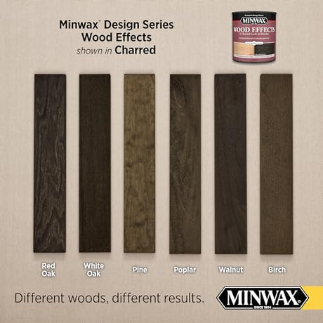 Minwax 405140000 Wood Effects, Charred Black Minwax