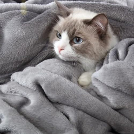 Hansleep Fleece Blanket Twin Size Grey, Soft Cozy Twin Blanket, Fuzzy Flannel Blanket for Bed, Sofa, Couch, Travel, Camping, 60 x 80 Inches Hansleep