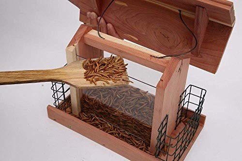 Solution4Patio Homes Garden USA Cedar Bird Feeder Wildbird Essentials Handmade Wooden Outdoor Ranch Patio Yard Tree Hanging with Double Plastic Solution4Patio Expert in Garden Creation