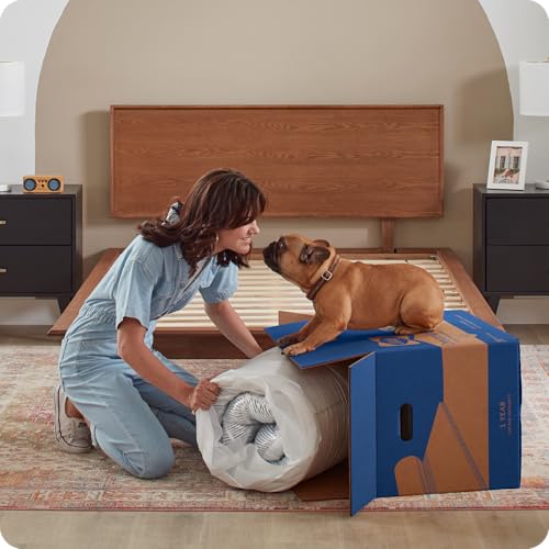 Sealy Dreamlife 8” Foam Mattress-in-a-Box, Queen, SealyComfort Gel Memory Foam, Surface-Guard Technology, Breathable Comfort Sealy