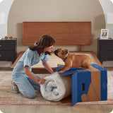 Sealy Dreamlife 8” Foam Mattress-in-a-Box, Queen, SealyComfort Gel Memory Foam, Surface-Guard Technology, Breathable Comfort Sealy