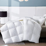 WhatsBedding Twin Comforter,Filled with Feather and Down, White Duvet Insert - Luxurious Hotel Collection Bed Blanket Comforter - 100% Cotton Shell -Twin Size 64x88 Inch WhatsBedding