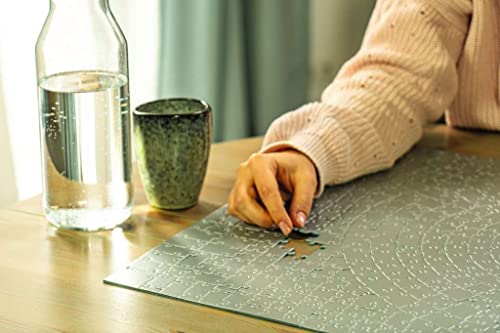 Ravensburger Krypt Silver 654 Piece Jigsaw Puzzle for Adults - 15964 - Every Piece is Unique, Softclick Technology Means Pieces Fit Together Perfectly Ravensburger