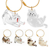 OGNWFUNK 2Pcs Cat Hair Keepsake Bottles, Pet Hair Keychain for Collecting Hair, Furever Gift for Pet Lovers, Cat Keychain Memory Keepsake