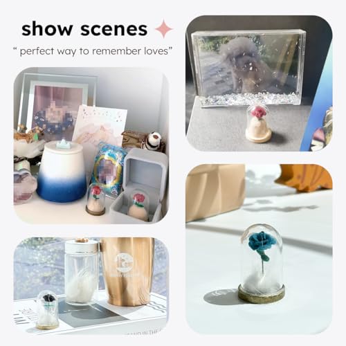 Lifelisa Pet Hair Memorial Bottle, Dog Cat Fur Memorial Keepsake, Pet Urns with Eternal Rose DIY, Dog Ashes Keepsake Small Pet Urn for Cat, Dog Memorial Gifts for Pet Loss(Red) (Red)