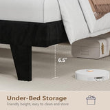 Otevehde LED Full Size Bed Frame with USB Charging Station, Velvet Upholstered Platform Bed Frames with Button Tufted Wingback Storage Headboard, Wooden Slats Support, No Box Spring Needed, Black Otevehde