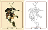 The Audubon Birds Coloring Book Arcturus