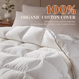Richtry Goose Feather Down Fiber Comforter Queen Size, Fluffy Cotton Quilted White Duvet Insert, Ultra-Soft, Breathable, Luxury Bedding Comforter All Season Medium Warmth with Corner Tabs, 90x 90Inch Richtry