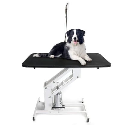 Bonnlo Hydraulic Dog Grooming Table, Professional Heavy Duty Grooming Table for Dogs, Trimming Table Drying Table w/Arm/Noose