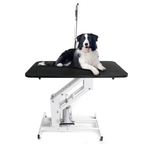 Bonnlo Hydraulic Dog Grooming Table, Professional Heavy Duty Grooming Table for Dogs, Trimming Table Drying Table w/Arm/Noose Bonnlo