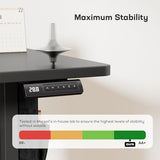 Marsail 55x24 Electric Standing Desk - Adjustable Height Computer Desk with Memory Presets, Storage Bag & Cable Management for Home Office & Gaming Workstations Marsail