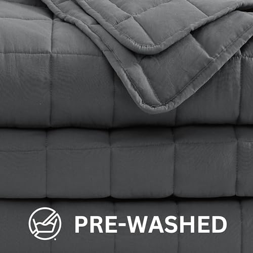 Casa Platino Twin Duvet Insert - Soft Blankets Lightweight Twin Size Bedding, Cooling Pre-Washed - Down Alternative Blanket - Charcoal Casa Platino
