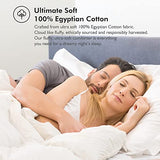 Luxurious White Solid Medium Weight, Twin Size Goose Feathers Down Comforter for All-Season Weather Duvet Insert, Premium Baffle Box, 100% Egyptian Cotton Cover, 55 oz. Fill Weight EGYPTIAN BEDDING