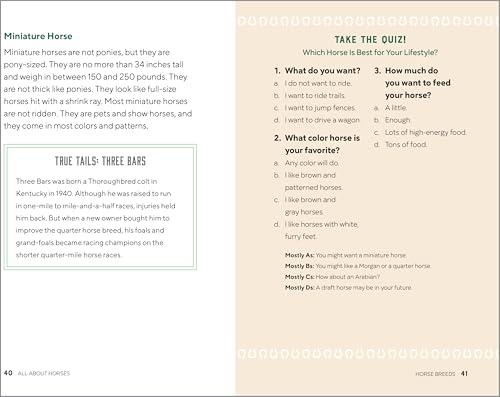 All About Horses: A Kid's Guide to Breeds, Care, Riding, and More! WoodArtSupply