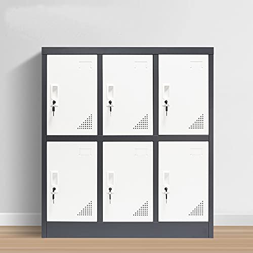MAYROY Metal Locker Office Storage Locker Home Steel Locker School Storage Organizer, Storage Cabinet for Kids Students Employee (Gray, W6D) MAYROY