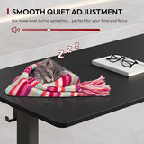 SANODESK Electric Standing Desk 55 x 28 Inches Whole-Piece Desktop Height Adjustable Stand Up Desk w/6-Button Controller Ergonomic Computer Desk for Home Office, Black Frame + Black Tabletop SANODESK