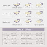 Andency White Twin Comforter Set (66x90Inch), 2 Pieces Cute Soft Pinch Pleat Bedding Comforters & Sets for Kids Girls, All Season Lightweight Fluffy Down Alternative Bed Set Andency