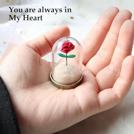 Lifelisa Pet Hair Memorial Bottle, Dog Cat Fur Memorial Keepsake, Pet Urns with Eternal Rose DIY, Dog Ashes Keepsake Small Pet Urn for Cat, Dog Memorial Gifts for Pet Loss(Red) (Red) Lifelisa