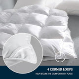 Serta Goose Feather Down Fiber Cotton Comforter Twin Size - 100% Cotton Duvet Insert - Hotel Luxury Hypoallergenic Bedding Comforter Light Warmth 68 x 90 Inch White Serta