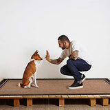 Gertmenian Indoor Outdoor Classic Flatweave Area Rug, Stain & UV Resistant Carpet, Deck, Patio, Poolside & Mudroom, 8x10 Ft Large, Border, Black Tan, 21515 Gertmenian