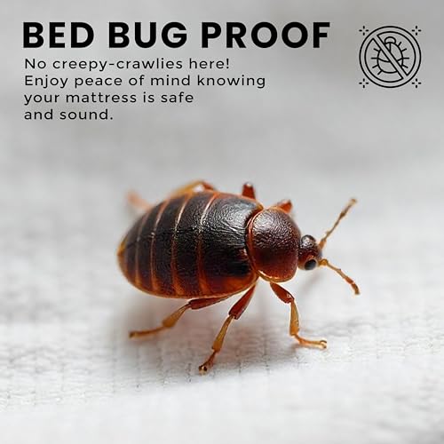 Utopia Bedding Premium Waterproof Bed Bug Mattress Cover, Queen Zippered Mattress Protector, 10 Inches Deep, Dust Mite Proof 6-Sided Mattress Encasement for Bed Utopia Bedding